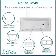 Ванна чугунная Delice France Level 170x75 DLR230602