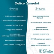 Ванна чугунная Delice France Camelot 180x80 DLR230616R-AS