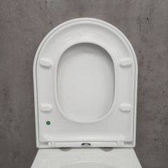 Унитаз подвесной Bloomix Rapid SL1233R/UF02 безободковый