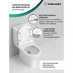 Унитаз Ambassador Abner 107K19001RS безободковый