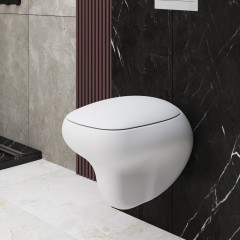 Унитаз подвесной Ambassador Diamond 123T20101R-122T20101 безободковый