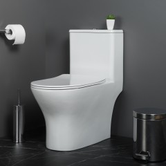 Унитаз BelBagno Lounge BB8618CPR-MN/SC моноблок безободковый