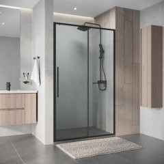 Душевая дверь Niagara Nova NG-34-12AGR
