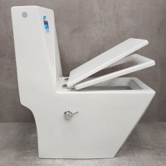 Унитаз Bloomix Berg 2071SB/UF2 Ceramic+ моноблок с функцией биде и смесителем