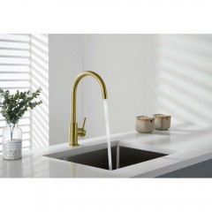 Смеситель для кухни Aquatek Европа AQ1382BG