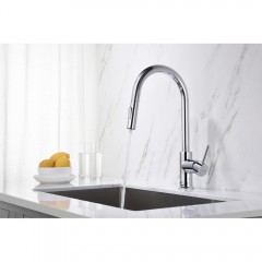 Смеситель для кухни Aquatek Европа AQ1384CR