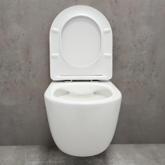 Инсталляция Geberit 458.103.00.1 + унитаз Bloomix Diva MD1211R/UF3 безободковый с сиденьем
