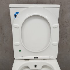 Унитаз Bloomix Salchow AD3093SB/UF1 Ceramic+ безободковый с функцией биде и смесителем