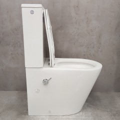 Унитаз Bloomix Salchow AD3093SB/UF1 Ceramic+ безободковый с функцией биде и смесителем