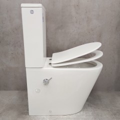 Унитаз Bloomix Salchow AD3093SB/UF1 Ceramic+ безободковый с функцией биде и смесителем