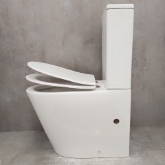 Унитаз Bloomix Salchow AD3093SB/UF1 Ceramic+ безободковый с функцией биде и смесителем