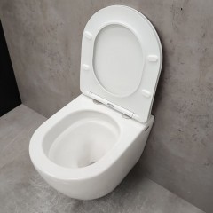 Инсталляция Grohe 38971000+ кнопка смыва Even 38966SH0 белый глянец + унитаз Bloomix Trend 3.0 AD1203T/UF1 безободковый торнадо с сиденьем