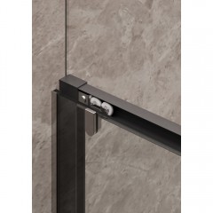 Душевая дверь Timo TD-120/03C-6