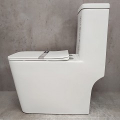 Унитаз Bloomix Mono MD2322R/UF3 моноблок безободковый