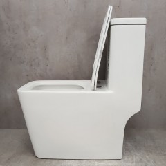 Унитаз Bloomix Mono MD2322R/UF3 моноблок безободковый