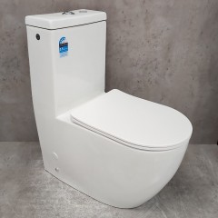 Унитаз Bloomix Mono MD5011R/UF3 Ceramic+ моноблок безободковый