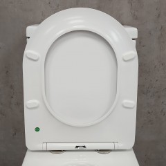 Унитаз Bloomix Mono MD5011R/UF3 Ceramic+ моноблок безободковый