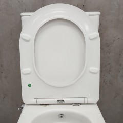 Унитаз Bloomix Barron AD3091RSB/UF1 безободковый с функцией биде и смесителем