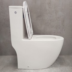 Унитаз Bloomix S-Line 3.0 2327T/UF1 Ceramic+ моноблок безободковый торнадо