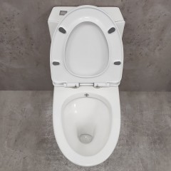 Унитаз Bloomix Mono MD5015SB моноблок безободковый с функцией биде и смесителем