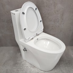 Унитаз Bloomix Mono MD5015SB моноблок безободковый с функцией биде и смесителем