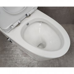 Унитаз Bloomix Mono MD5015SB моноблок безободковый с функцией биде и смесителем