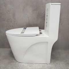 Унитаз Bloomix Mono MD5015SB моноблок безободковый с функцией биде и смесителем