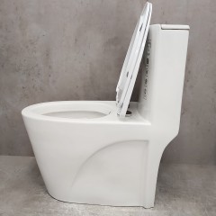 Унитаз Bloomix Mono MD5015SB моноблок безободковый с функцией биде и смесителем