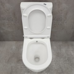 Унитаз Bloomix Barron AD3091RSB/UF1 Ceramic+ безободковый с функцией биде и смесителем
