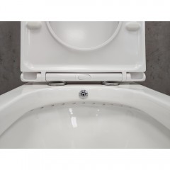 Унитаз Bloomix Barron AD3091RSB/UF1 Ceramic+ безободковый с функцией биде и смесителем