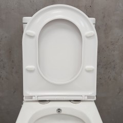Унитаз Bloomix Barron AD3091RSB/UF1 Ceramic+ безободковый с функцией биде и смесителем