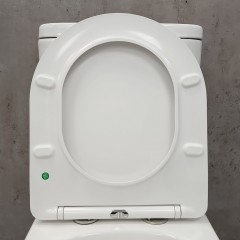 Унитаз Bloomix Major AD3089RSB/UF1 Ceramic+ безободковый с функцией биде и смесителем