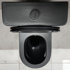 Унитаз Bloomix Black Barron 3.0 AD3091SBT/UF1 Ceramic+ безободковый торнадо с функцией биде и смесителем