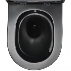 Унитаз Bloomix Black Barron 3.0 AD3091SBT/UF1 Ceramic+ безободковый торнадо с функцией биде и смесителем