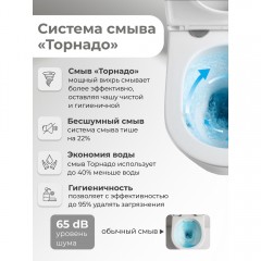Унитаз Grossman GR-4449MSQ безободковый торнадо