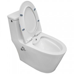 Унитаз Bloomix Lowe MT3101RSB/UF1 Ceramic+ моноблок безободковый с функцией биде и смесителем
