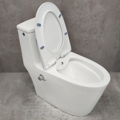 Унитаз Bloomix Lowe MT3101RSB/UF1 Ceramic+ моноблок безободковый с функцией биде и смесителем