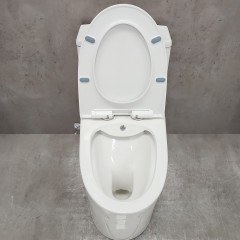 Унитаз Bloomix Lowe MT3101RSB/UF1 Ceramic+ моноблок безободковый с функцией биде и смесителем