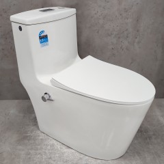 Унитаз Bloomix Lowe MT3101RSB/UF1 Ceramic+ моноблок безободковый с функцией биде и смесителем