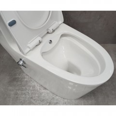 Унитаз Bloomix Lowe MT3101RSB/UF1 Ceramic+ моноблок безободковый с функцией биде и смесителем