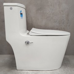 Унитаз Bloomix Lowe MT3101RSB/UF1 Ceramic+ моноблок безободковый с функцией биде и смесителем