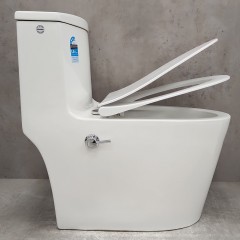 Унитаз Bloomix Lowe MT3101RSB/UF1 Ceramic+ моноблок безободковый с функцией биде и смесителем