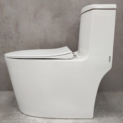 Унитаз Bloomix Lowe MT3101RSB/UF1 Ceramic+ моноблок безободковый с функцией биде и смесителем