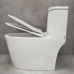 Унитаз Bloomix Lowe MT3101RSB/UF1 Ceramic+ моноблок безободковый с функцией биде и смесителем