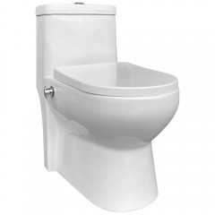 Унитаз EvaGold T1016B моноблок с функцией биде и смесителем