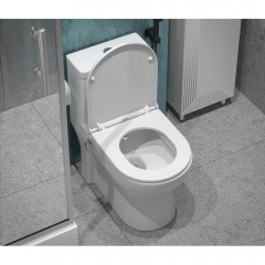Унитаз EvaGold T1016B моноблок с функцией биде и смесителем