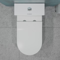 Унитаз EvaGold T1084 моноблок безободковый торнадо