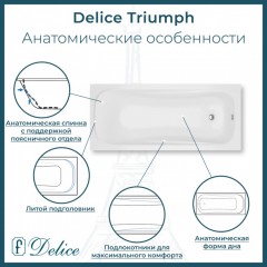 Ванна из литьевого мрамора Delice France Triumph 170x70 DLR330010-G