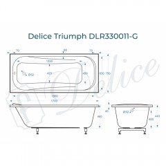 Ванна из литьевого мрамора Delice France Triumph 170x75 DLR330011-G