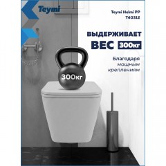 Унитаз подвесной Teymi Helmi PP T40312 безободковый